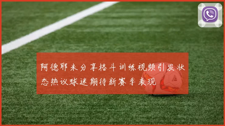 阿德耶米分享格斗训练视频引发状态热议球迷期待新赛季表现