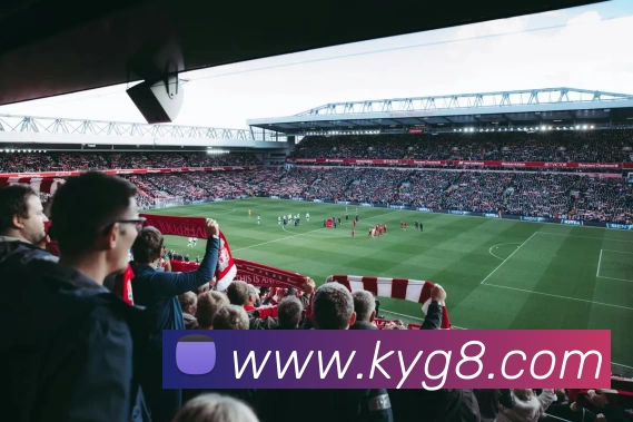 开云棋牌平台生态图